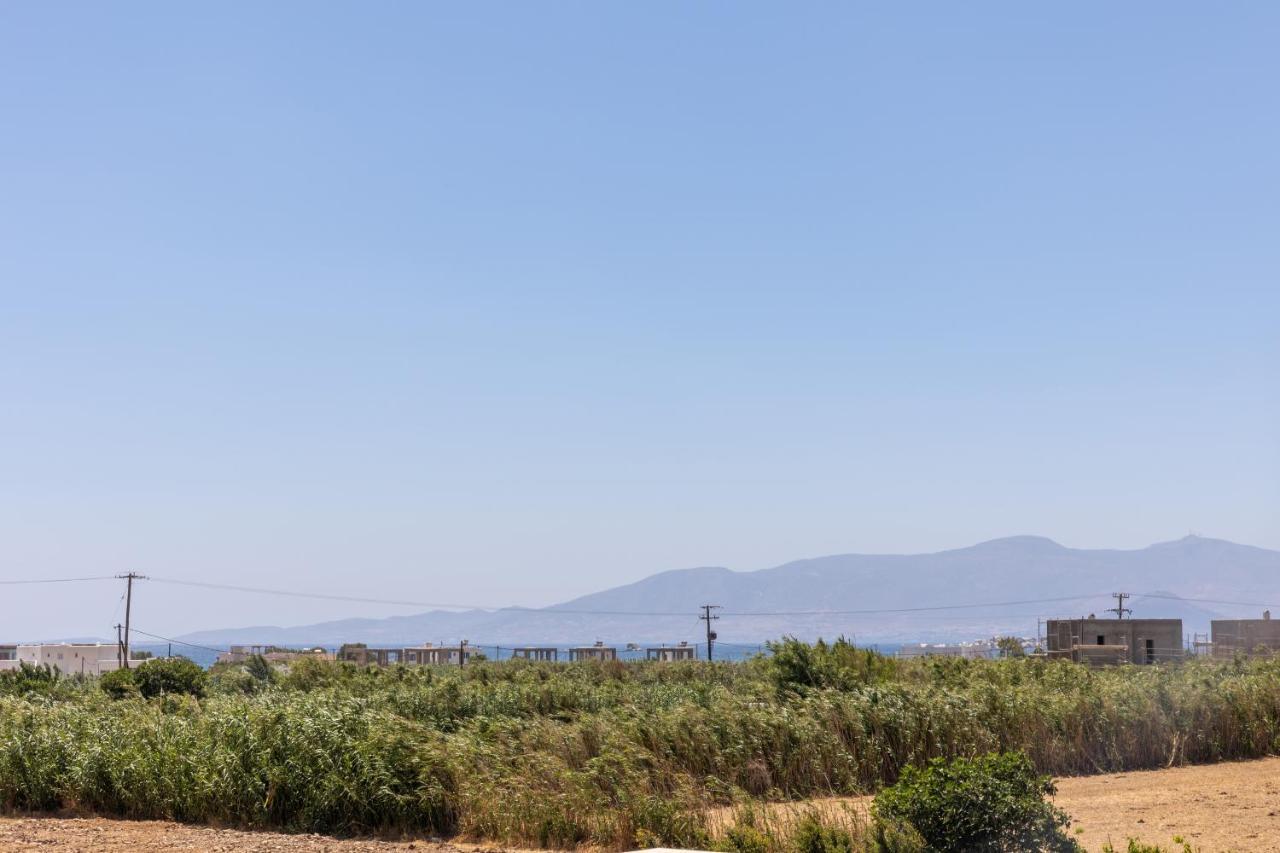 Depis Edem Luxury Villas NaxosPláka エクステリア 写真