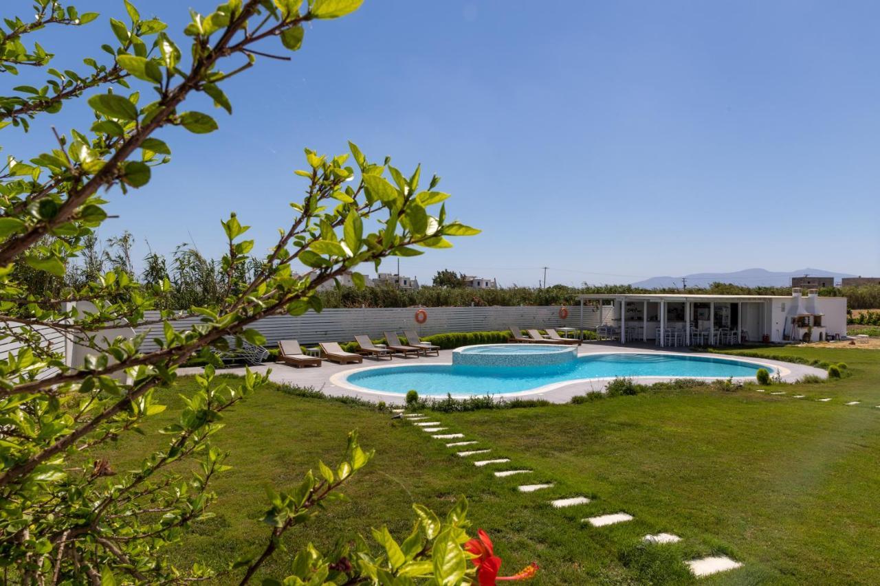 Depis Edem Luxury Villas NaxosPláka エクステリア 写真